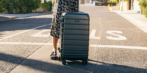 suitcase closet insert